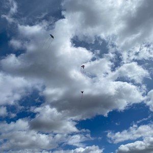 Meet your Posher, Korine